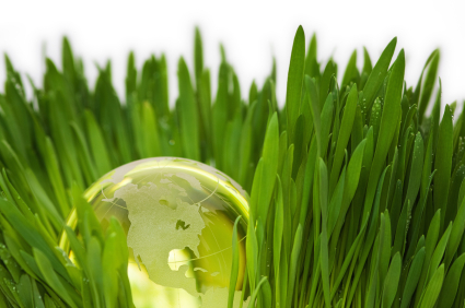 Planning Ahead for a Successful and Environmentally-Responsible Lawn